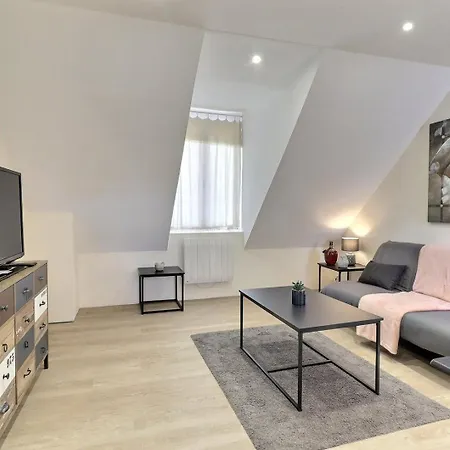 L'appart De La Pierre - Idela Pro - Centre - Proche Gare - Mon Groom Apartment