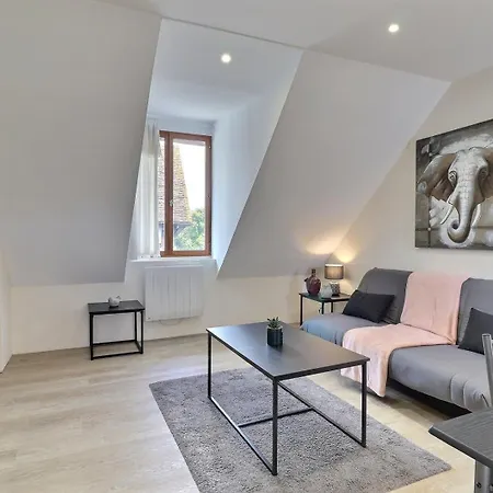 L'appart De La Pierre - Idela Pro - Centre - Proche Gare - Mon Groom Apartment *